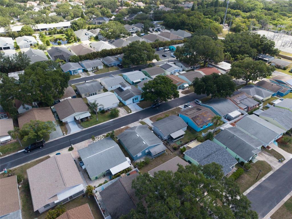 1009 Crane Court Dunedin, FL 34698 - Photo 43 of 63