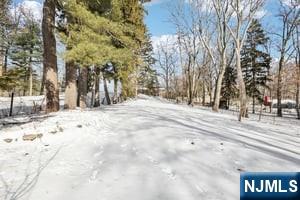 63 West Airmount Road Mahwah, NJ 07430 - Photo 18 of 20 a view of road and trees