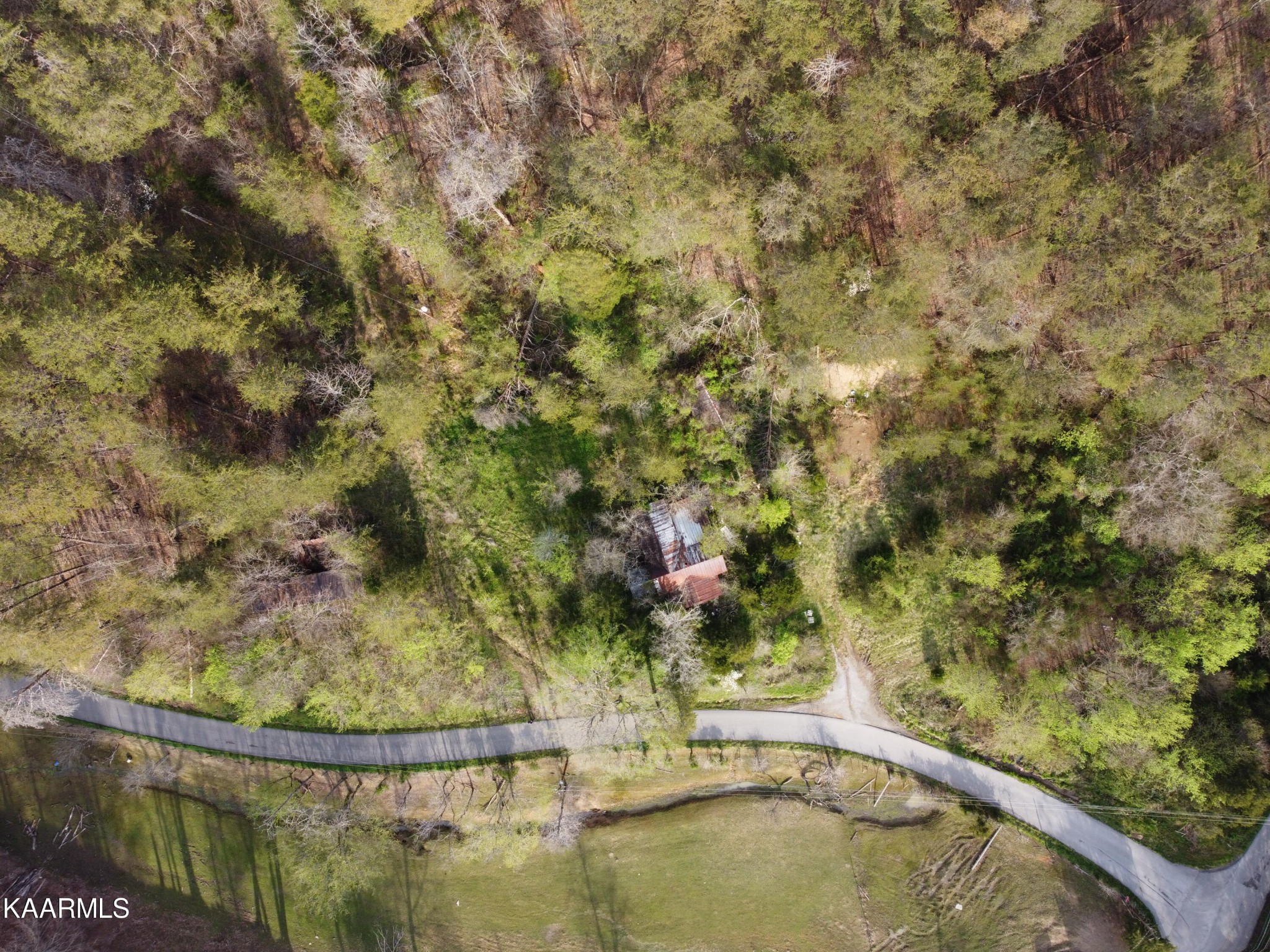 0 Lester Whitt Road Rutledge, TN 37861 - Photo 9 of 26 Gallery Image 9