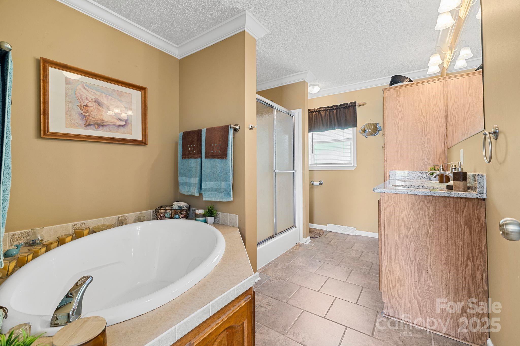 118 Grain Drive Stony Point, NC 28678 - Photo 12 of 31 a bathroom with a tub a mirror and a sink
