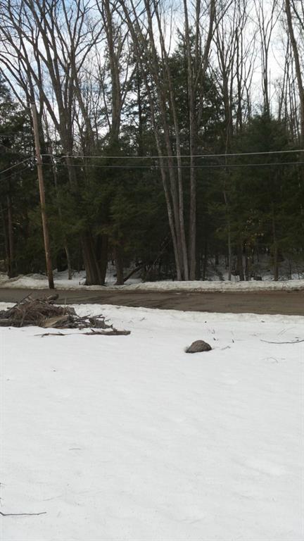 24 Loop Road Acton, ME 04001 - Photo 8 of 8 View from lot of the road