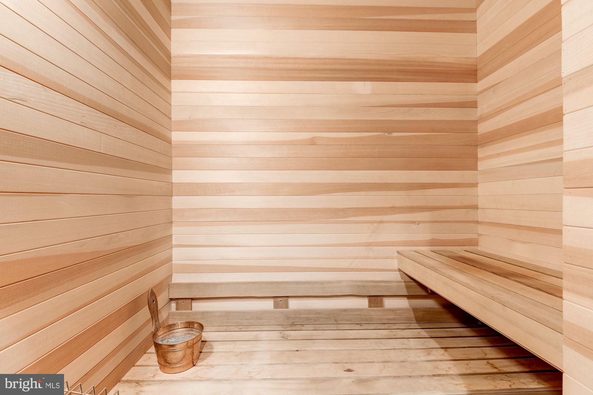 9115 Burning Tree Road Bethesda, MD 20817 - Photo 48 of 65 Sauna