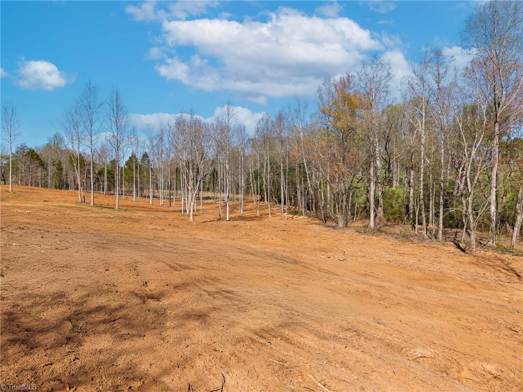 Lot2 Sprouse Road Boonville, NC 27011 - Photo 6 of 16