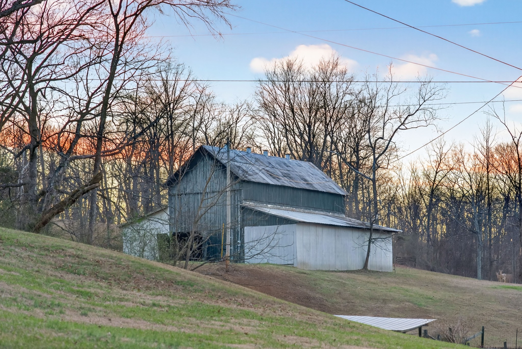 5084 Dorris Road Greenbrier, TN 37073 - Photo 17 of 89 a view of a house with a yard and garage