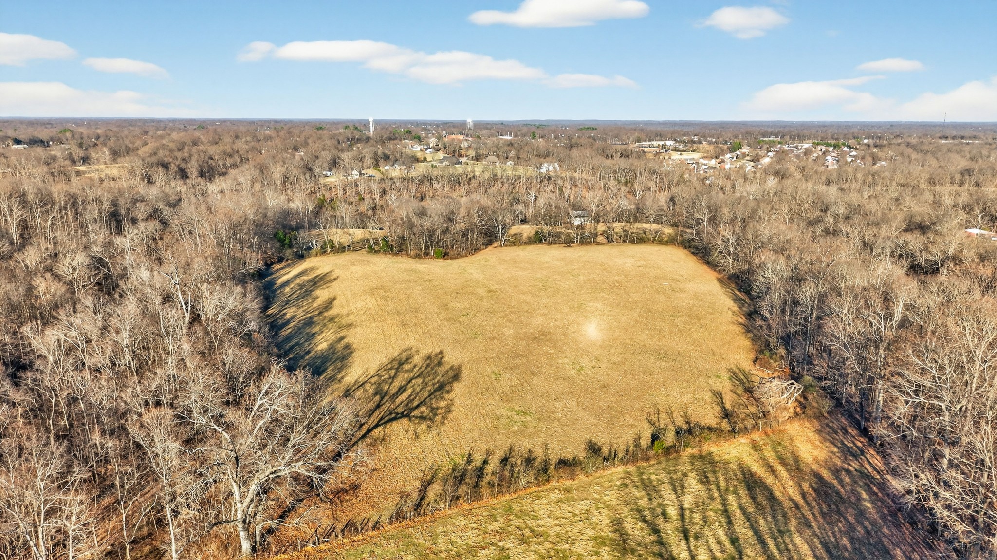 5084 Dorris Road Greenbrier, TN 37073 - Photo 54 of 89 a view of a city