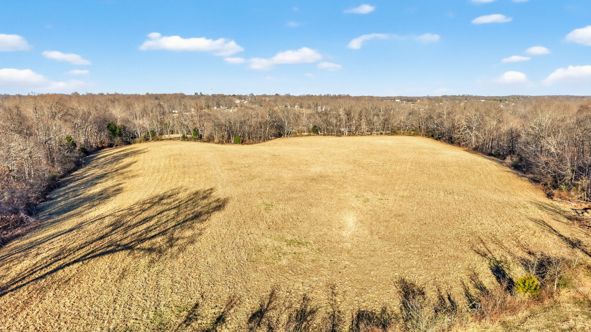 5084 Dorris Road Greenbrier, TN 37073 - Photo 55 of 89 a view of swimming pool