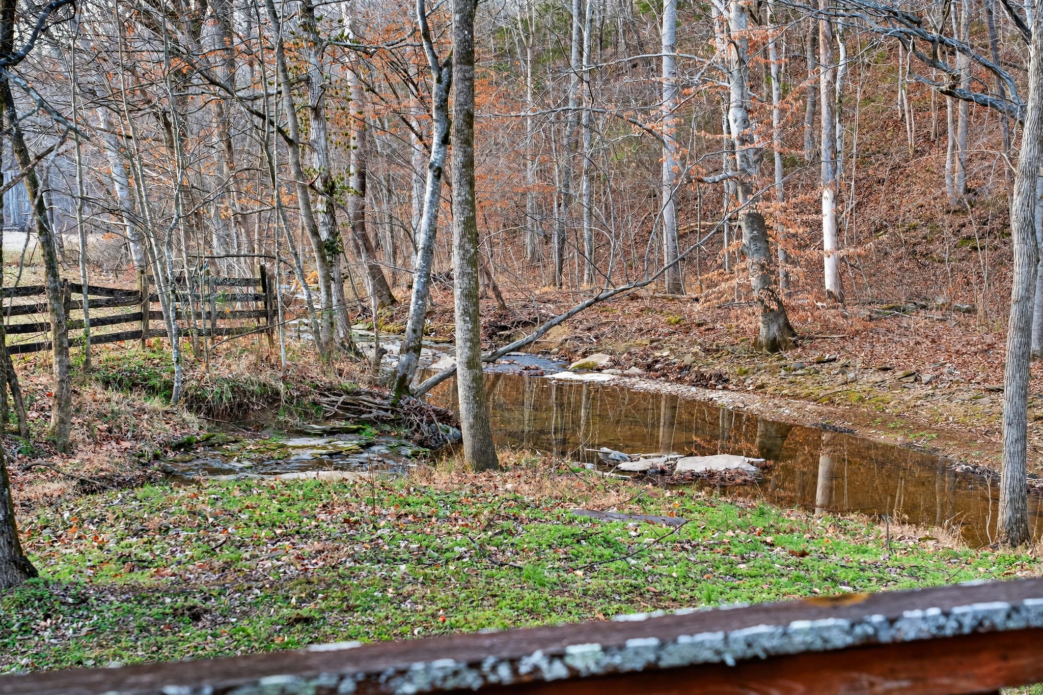5084 Dorris Road Greenbrier, TN 37073 - Photo 7 of 89 a view of outdoor space