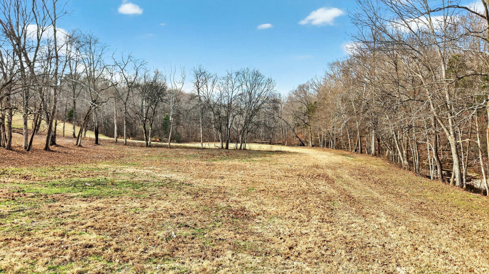 5084 Dorris Road Greenbrier, TN 37073 - Photo 75 of 89 a view of large space with trees