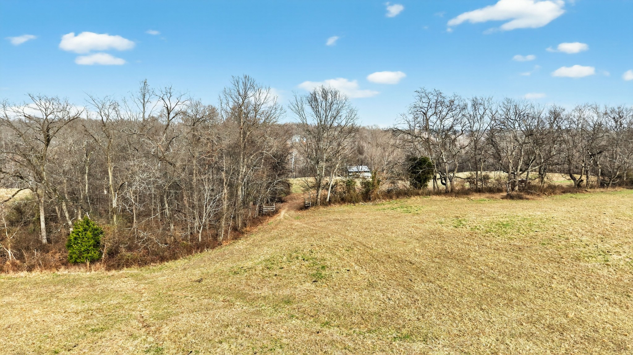 5084 Dorris Road Greenbrier, TN 37073 - Photo 79 of 89