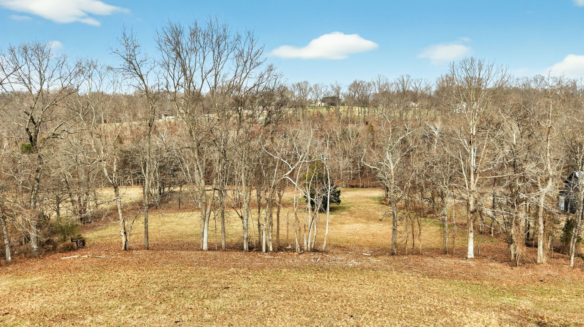 5084 Dorris Road Greenbrier, TN 37073 - Photo 81 of 89 a view of a yard