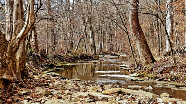 $1,495,000 | 5084 Dorris Road, Greenbrier, TN 37073