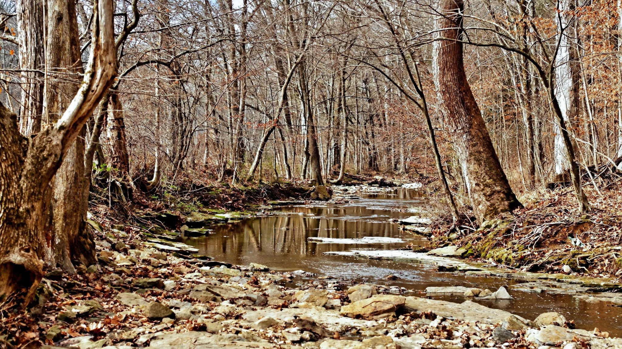 5084 Dorris Road Greenbrier, TN 37073 - Photo 84 of 89 a view of swimming pool with a yard