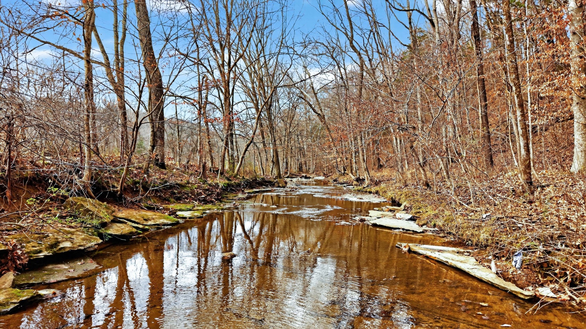 5084 Dorris Road Greenbrier, TN 37073 - Photo 85 of 89 a view of swimming pool of water with yard and outdoor seating
