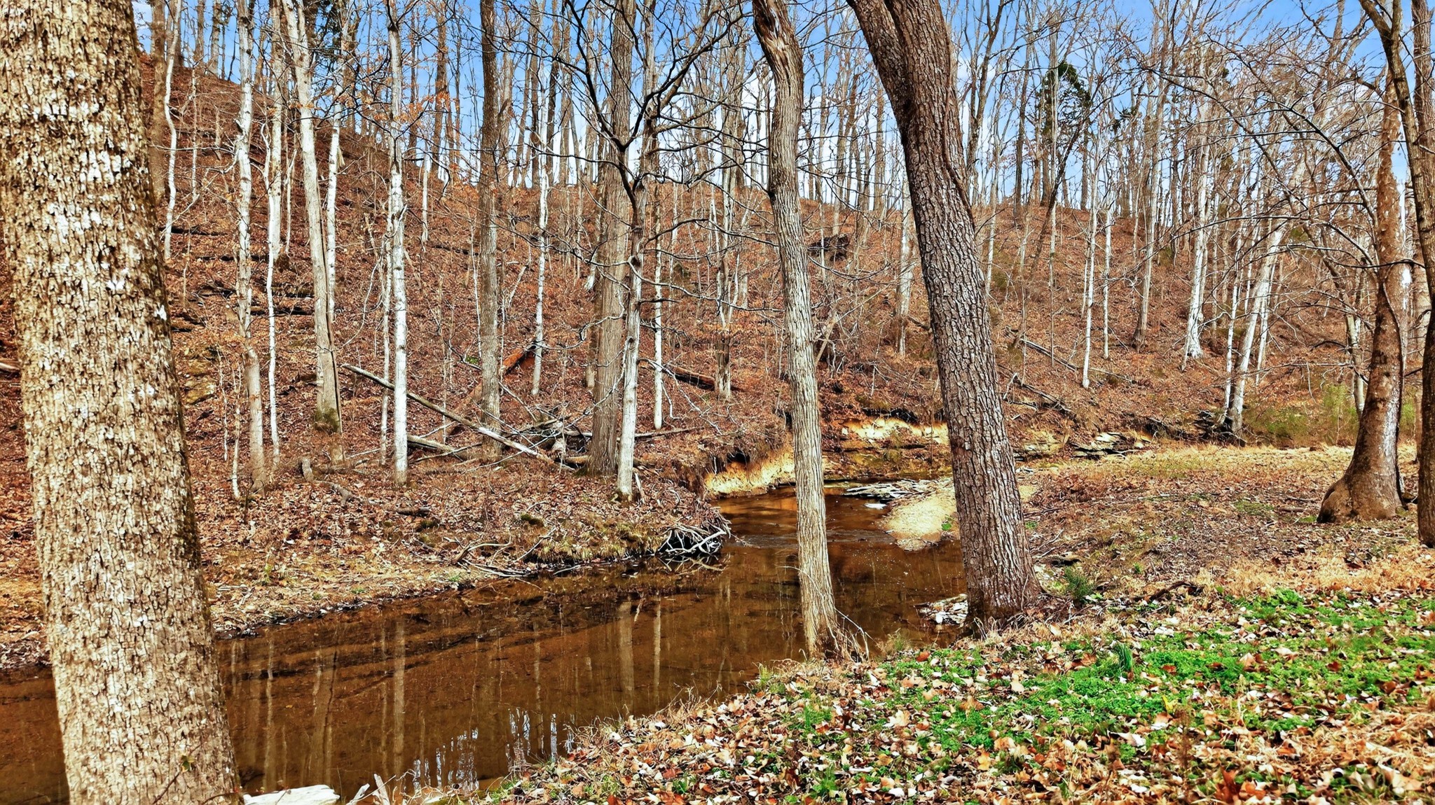 5084 Dorris Road Greenbrier, TN 37073 - Photo 86 of 89