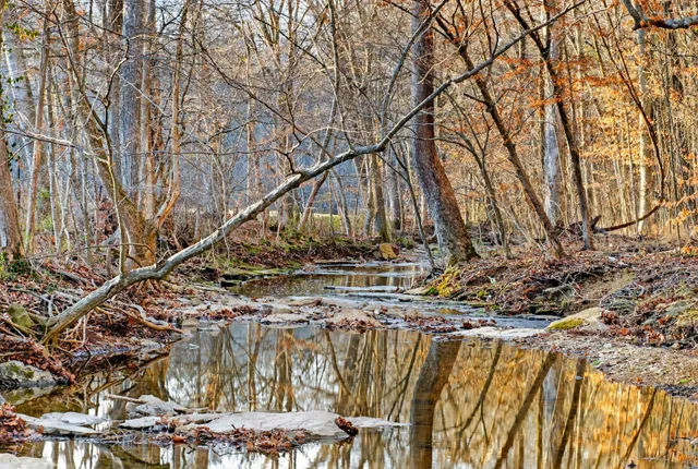 $1,495,000 | 5084 Dorris Road, Greenbrier, TN 37073