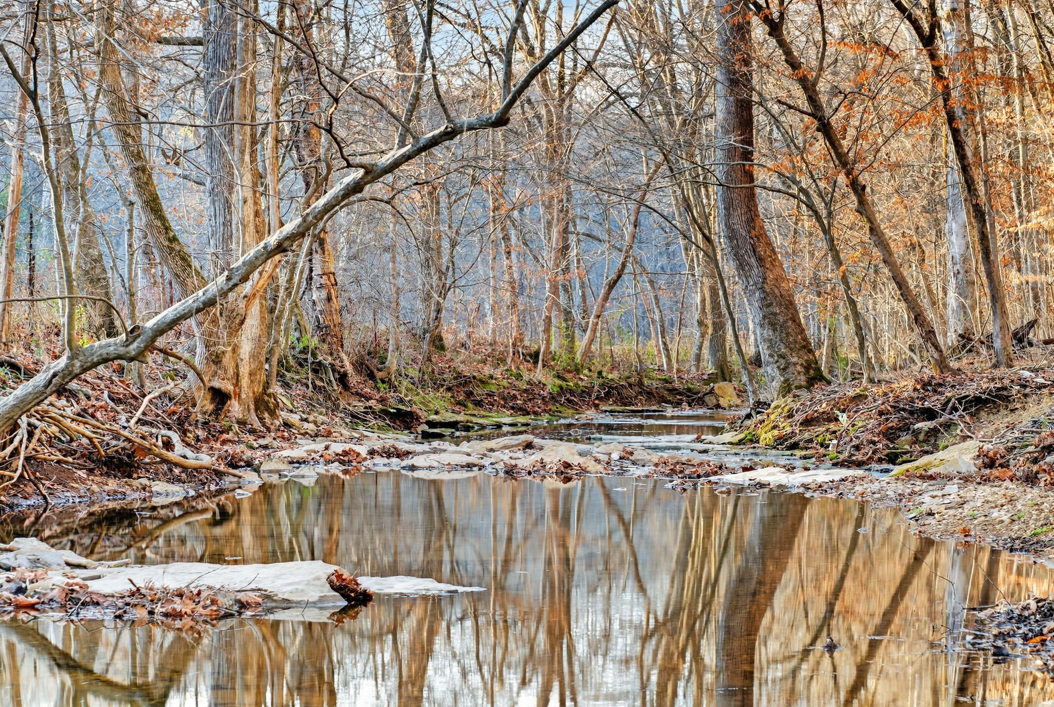 5084 Dorris Road Greenbrier, TN 37073 - Photo 88 of 89