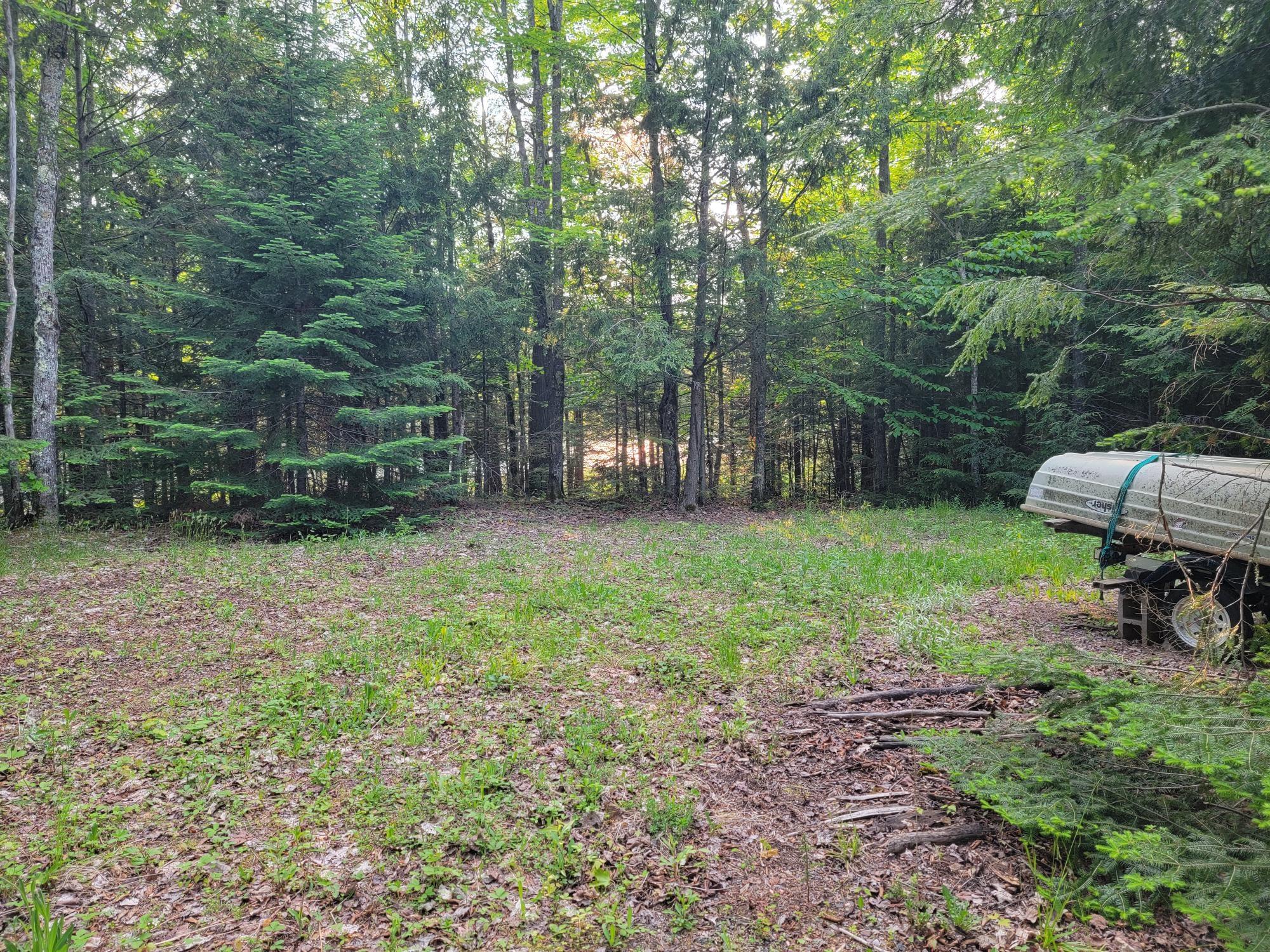 Lot 1 Tapawingo Road Mercer, WI 54547 - Photo 8 of 15 Gallery Image 8