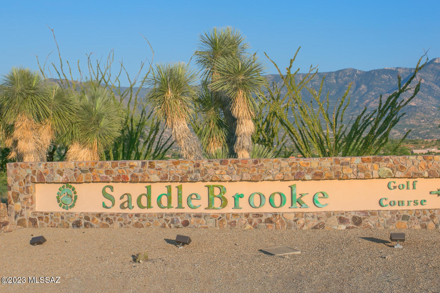 37269 South Ridgeview Boulevard Tucson, AZ 85739 - Photo 41 of 46 Gallery Image 41