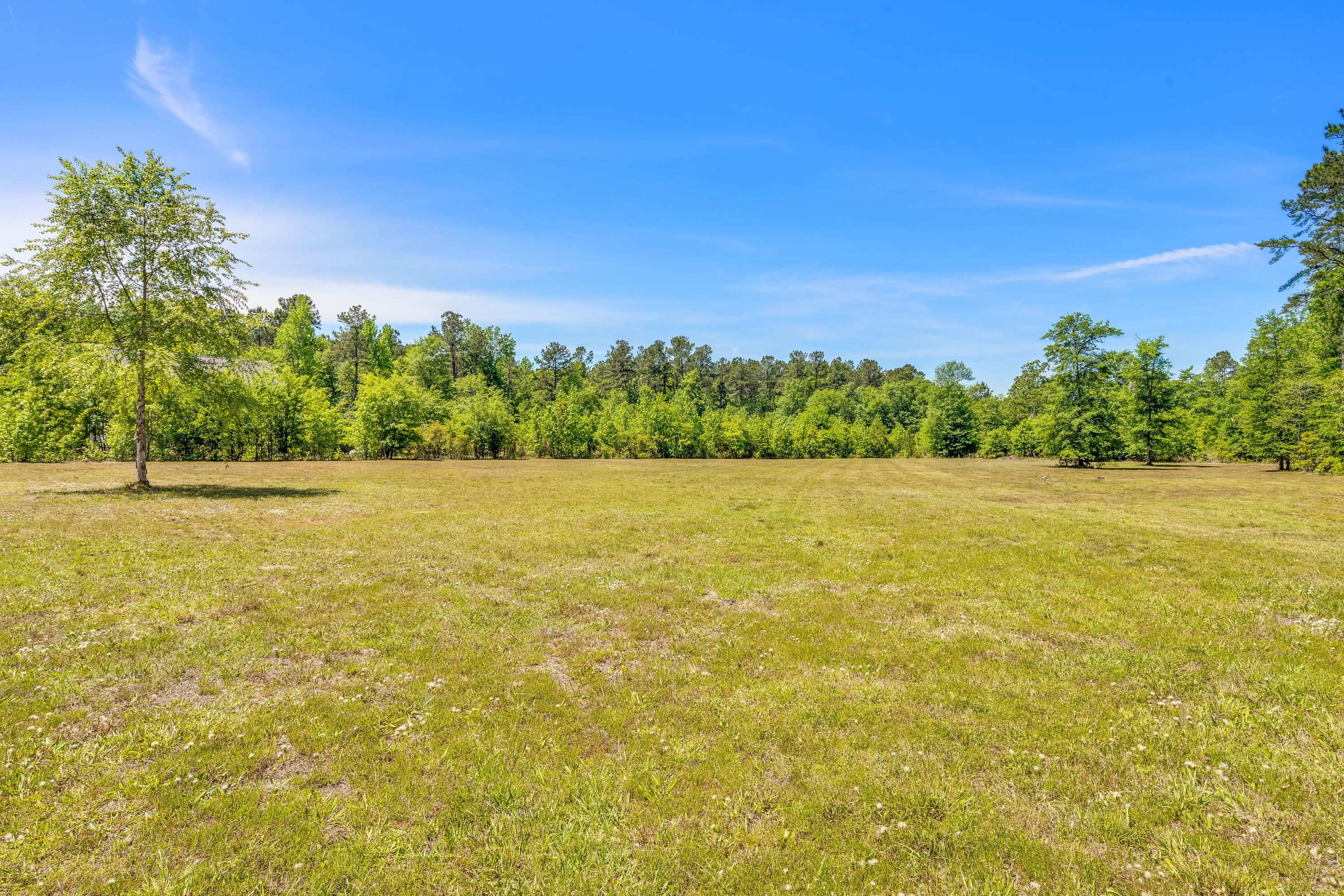 473 Beidler Forest Road Dorchester, SC 29437 - Photo 6 of 21 exterior 4