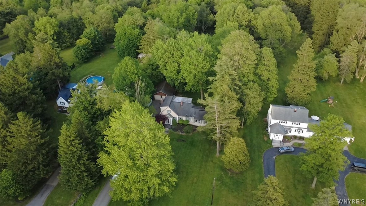 4695 Harris Hill Road Clarence, NY 14221 - Photo 25 of 37