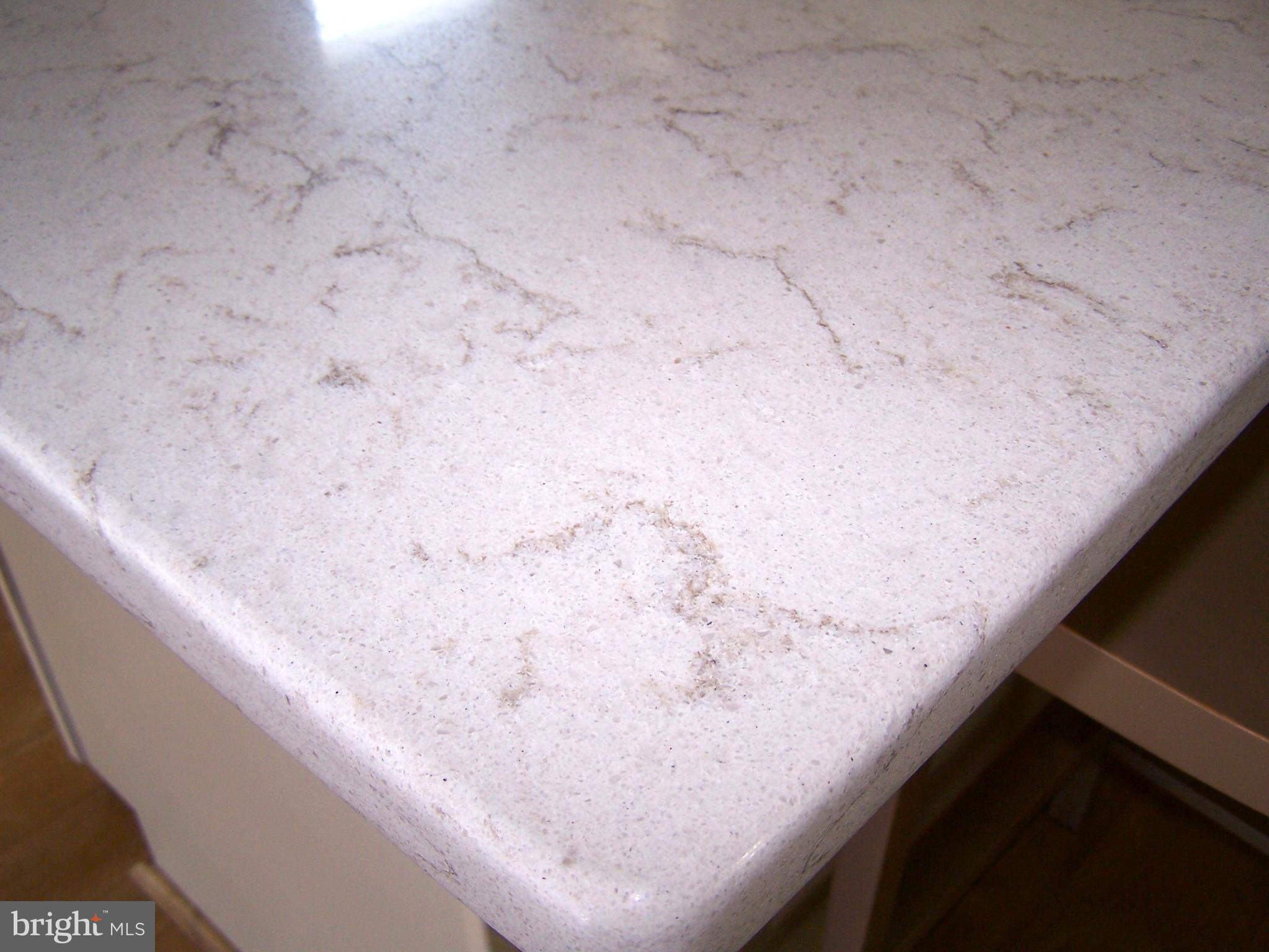 197 Clamshell Road Ocean City, MD 21842 - Photo 23 of 78 Quartz Countertops