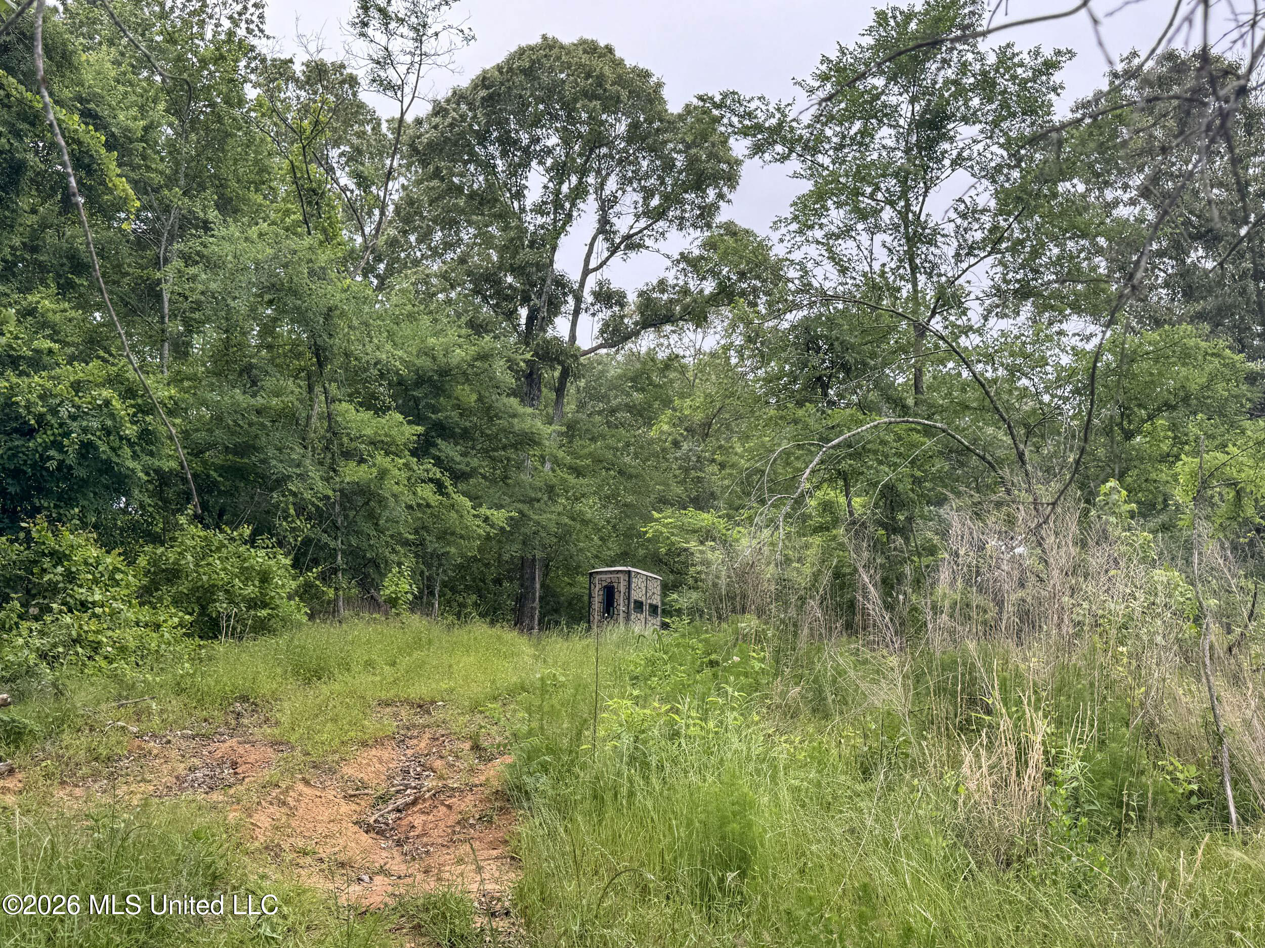 Wayne Massie Road Como, MS 38619 - Photo 183 of 184 5cdtbs133