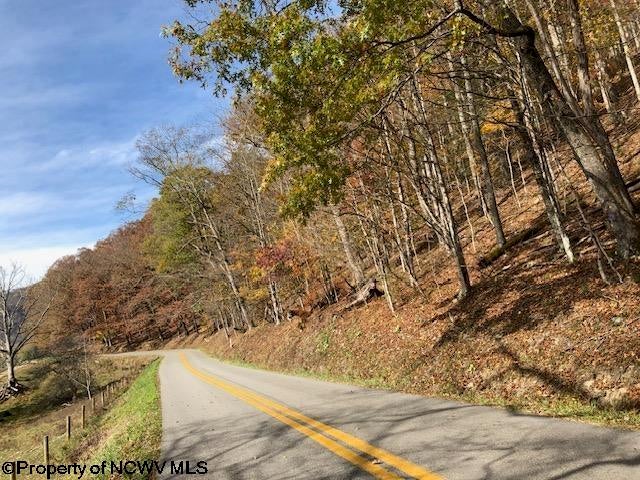 Tbd Holly Meadows Road Parsons, WV 26287 - Photo 6 of 21 Gallery Image 6