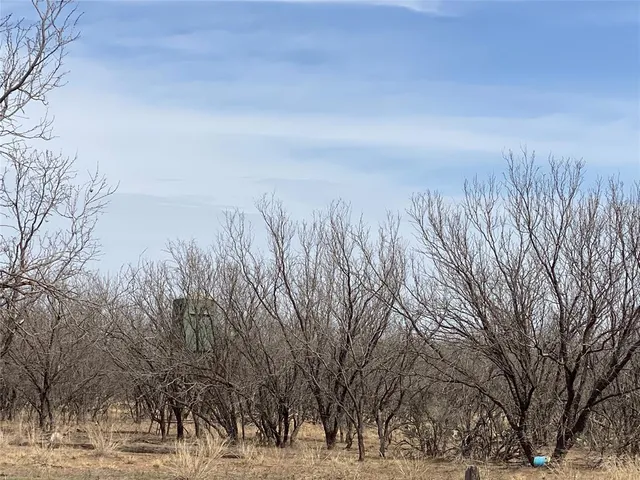 a view of a snow covered with snow in front of house
