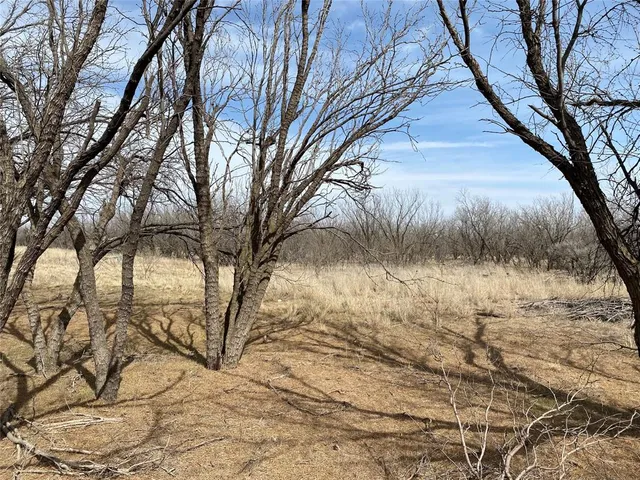 a backyard of a house with lots of trees