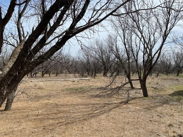 a view of snow on the road