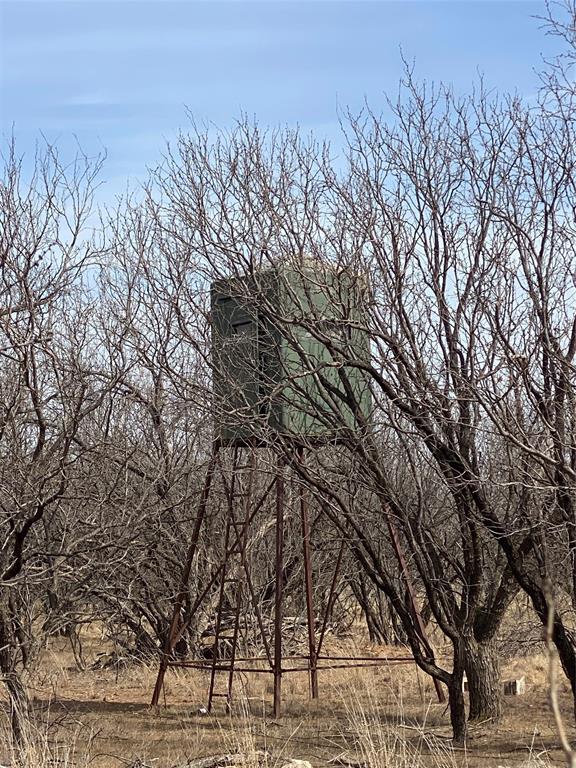 380 East Haskell Tx 79521 Haskell, TX 79521 - Photo 15 of 25 a view of mountain view