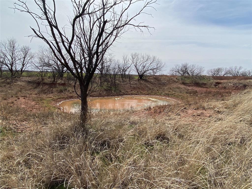 380 East Haskell Tx 79521 Haskell, TX 79521 - Photo 2 of 25 a view of a yard with a tree