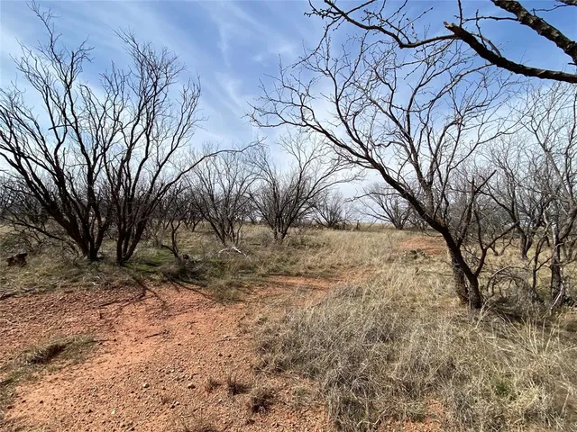 a view of a yard covered with snow in the front