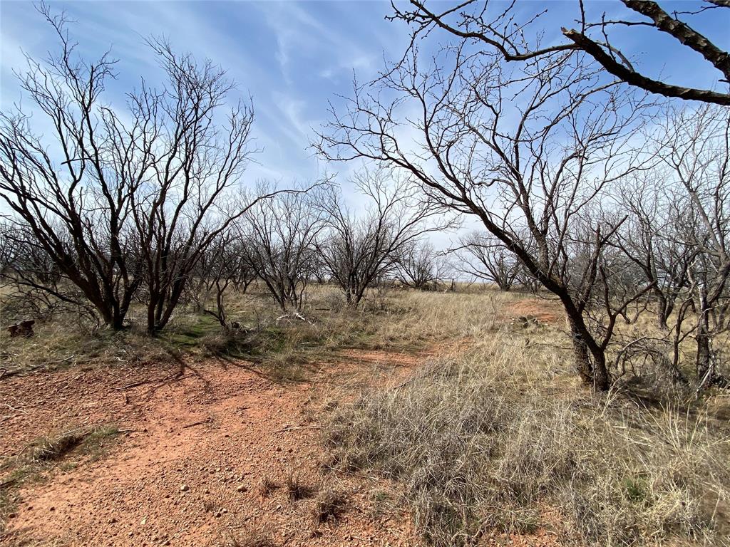 380 East Haskell Tx 79521 Haskell, TX 79521 - Photo 4 of 25 a view of a yard covered with snow in the front