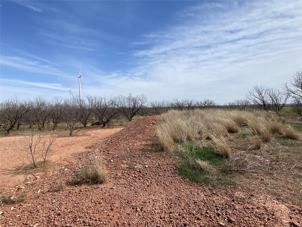 380 East Haskell Tx 79521 Haskell, TX 79521 - Photo 5 of 25 a view of a dry yard with wooden fence