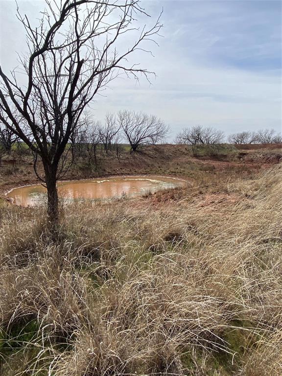 380 East Haskell Tx 79521 Haskell, TX 79521 - Photo 6 of 25 a view of yard with trees