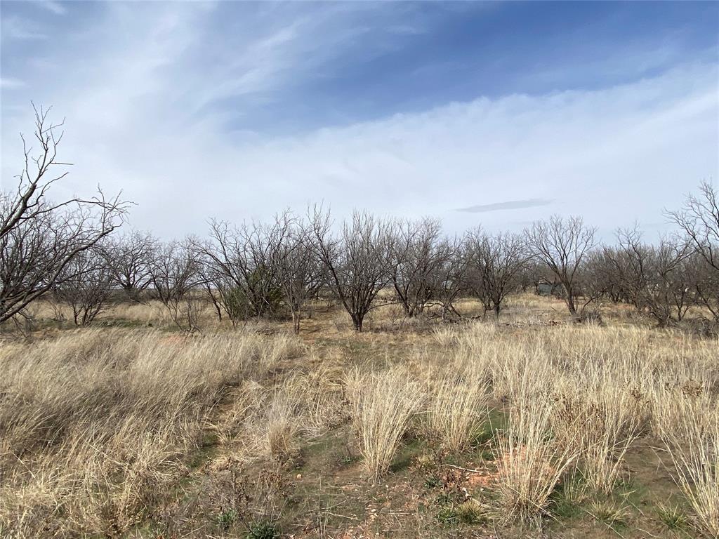 380 East Haskell Tx 79521 Haskell, TX 79521 - Photo 8 of 25 a view of a dry yard covered with trees