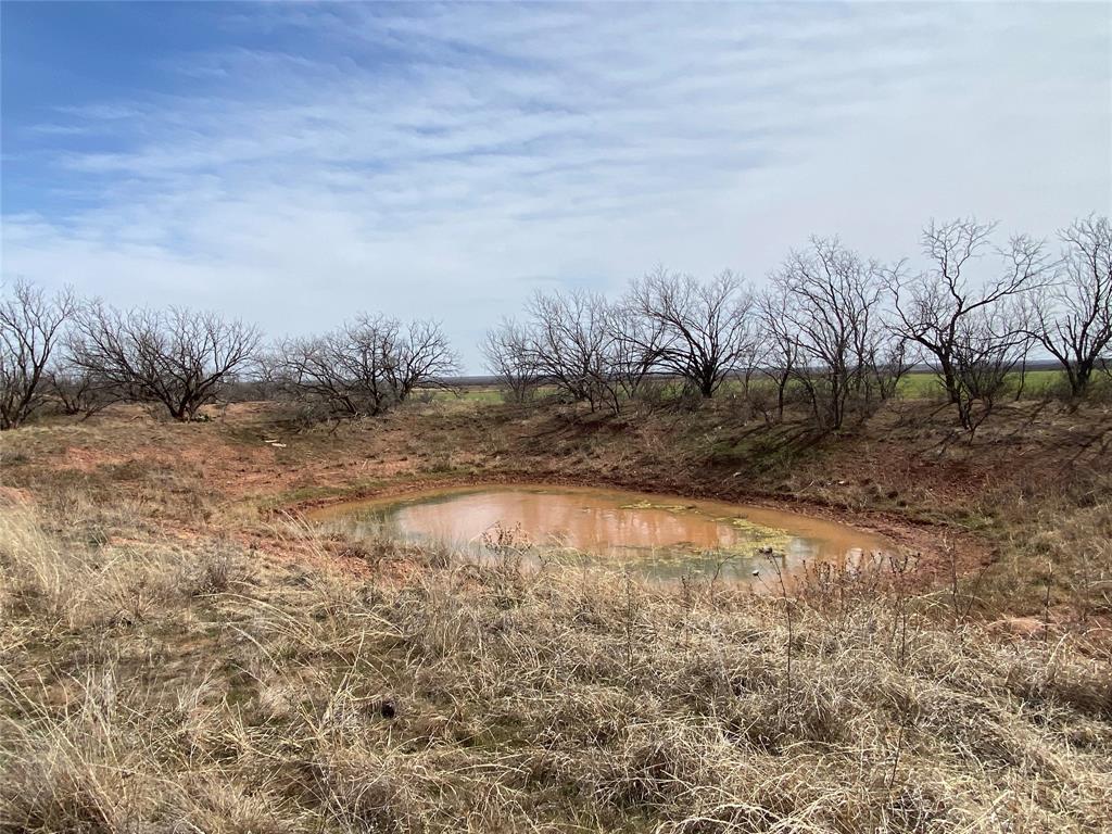 380 East Haskell Tx 79521 Haskell, TX 79521 - Photo 10 of 25 a view of a dry yard with wooden fence