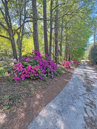 $205,000 | 1525 Ethan Stone Road, Manning, SC 29102