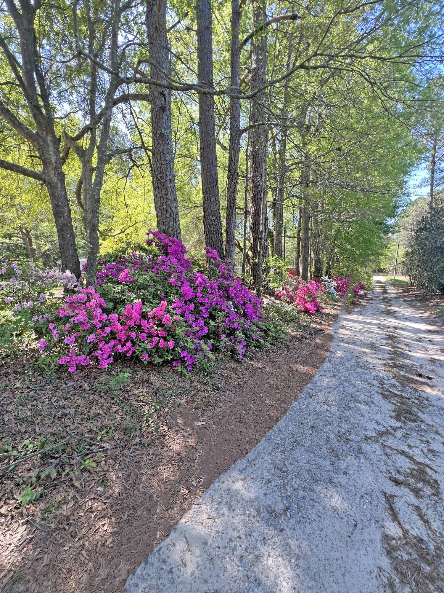 1525 Ethan Stone Road Manning, SC 29102 - Photo 19 of 22 17