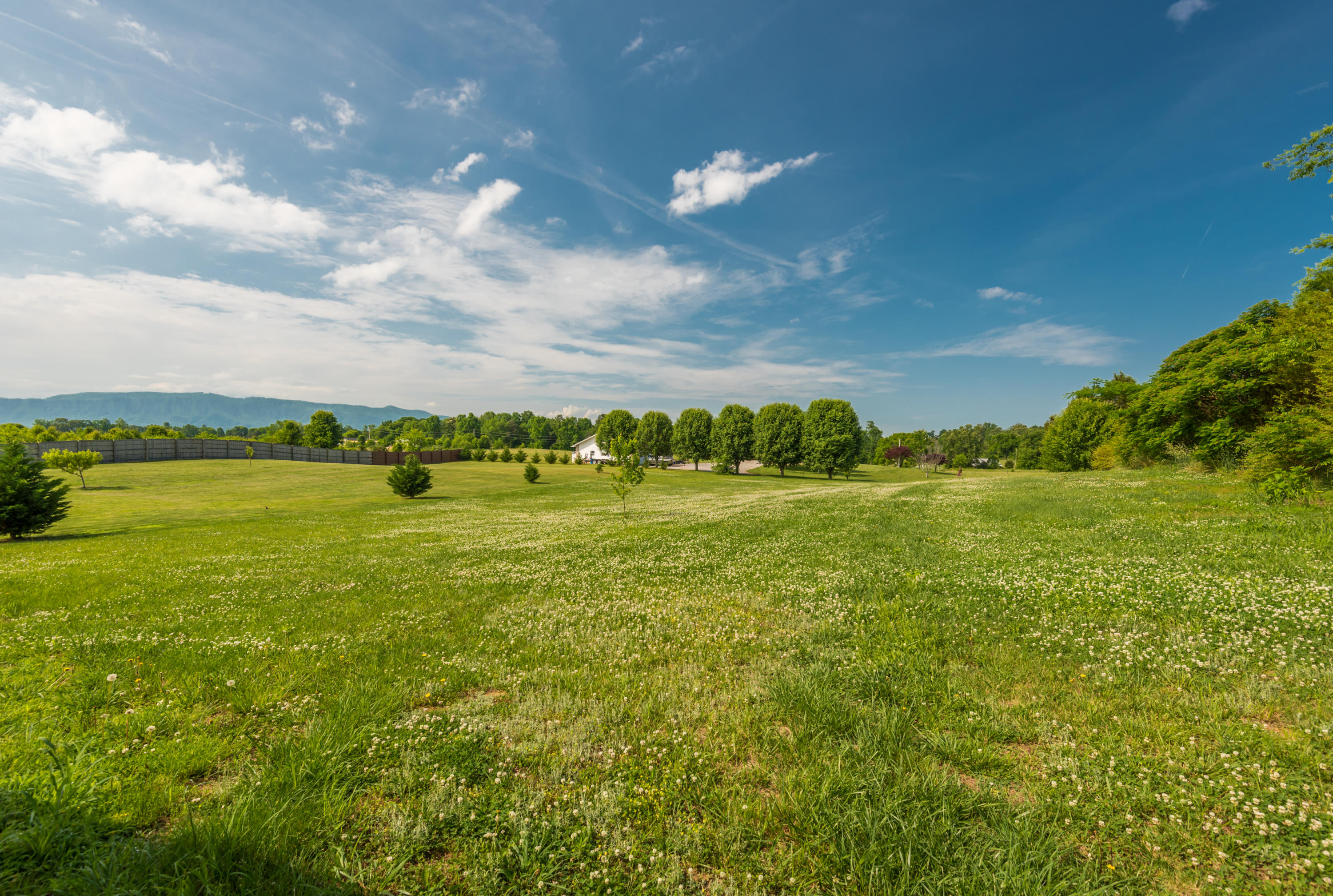 205 Keener Road Seymour, TN 37865 - Photo 9 of 40 205KeenerRd-25