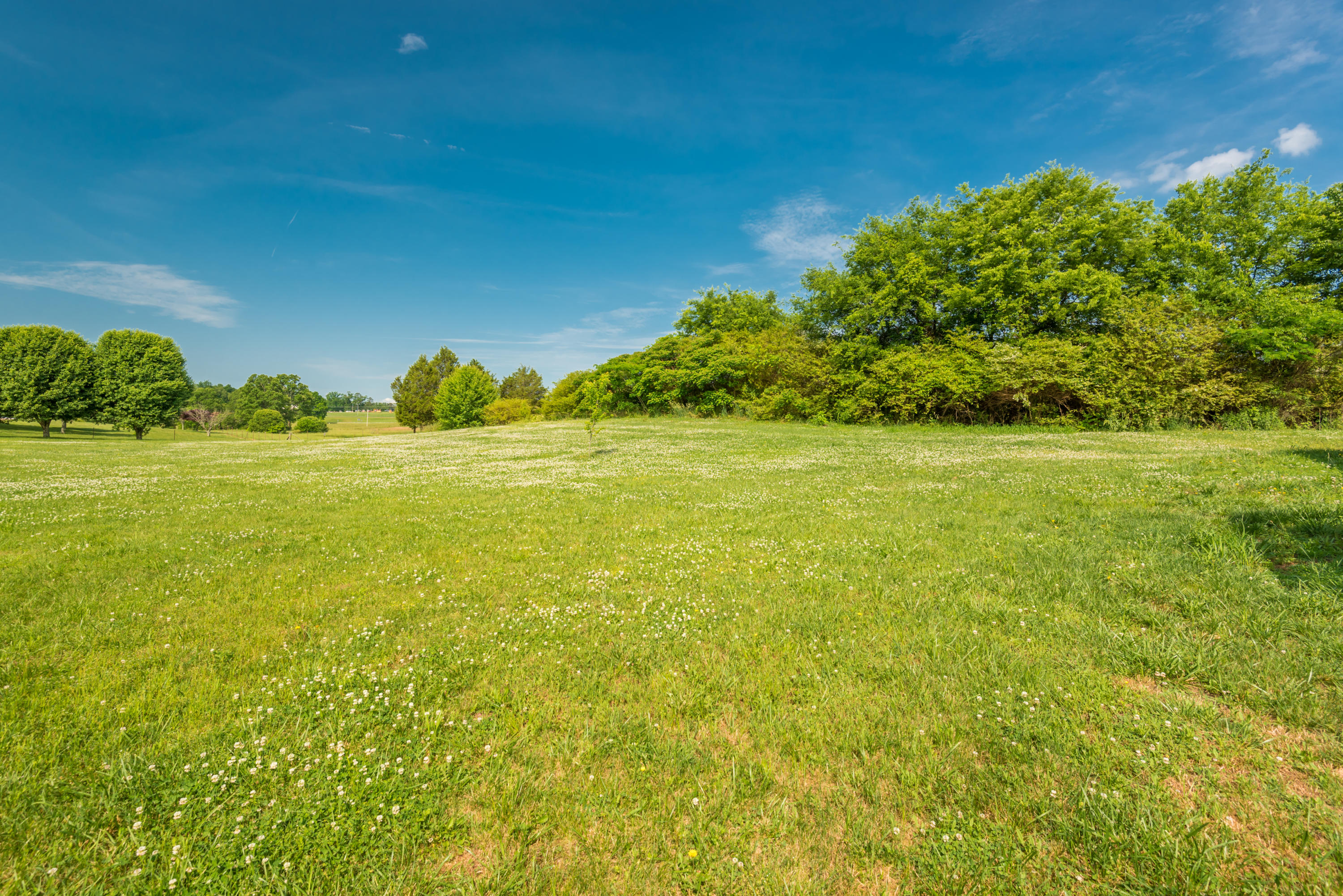 205 Keener Road Seymour, TN 37865 - Photo 10 of 40 205KeenerRd-27