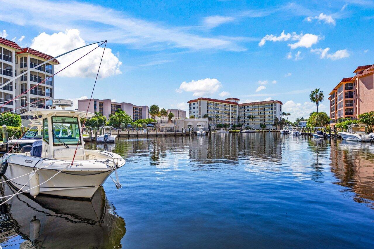 a lake view with boat and palm trees