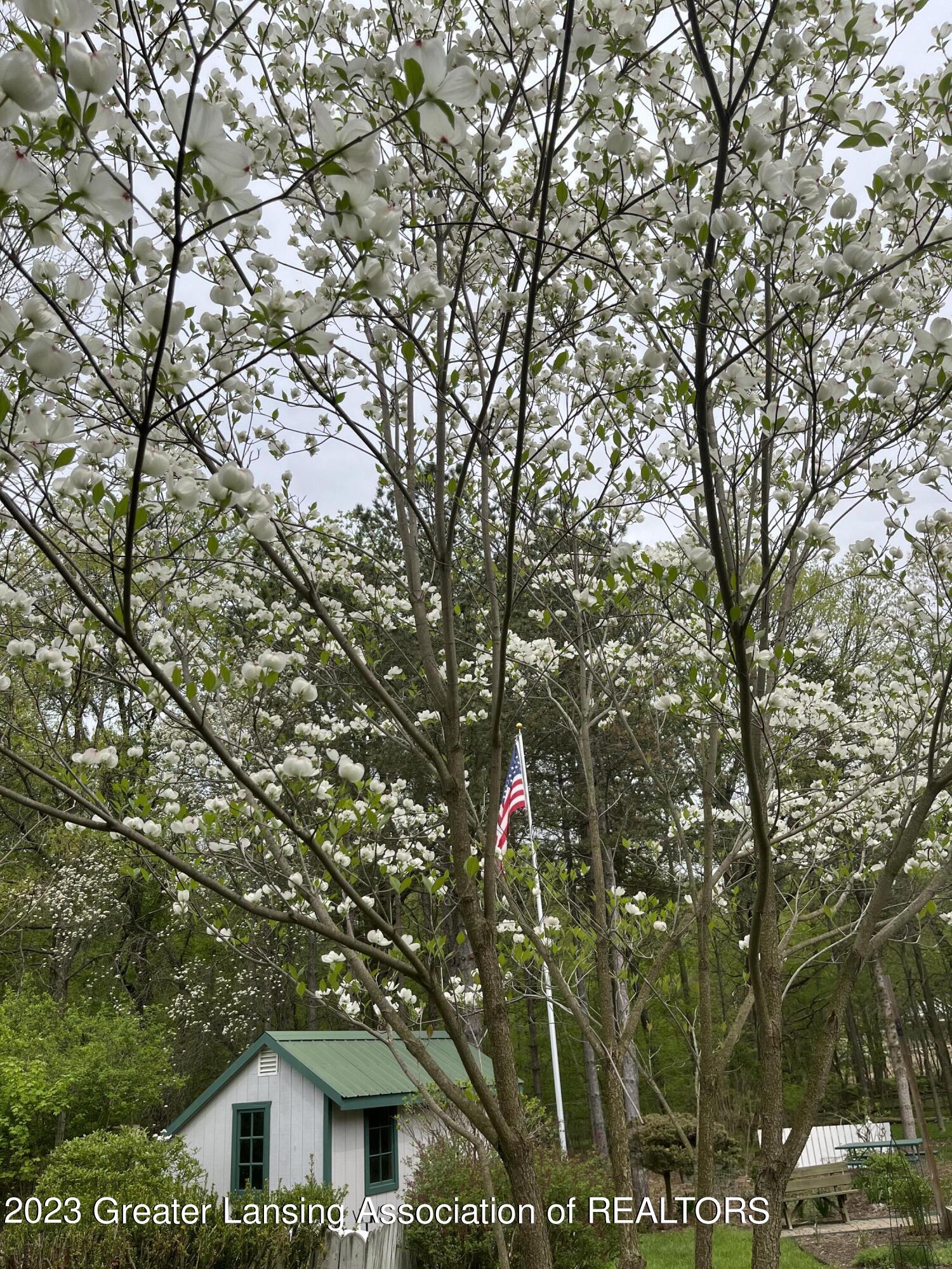 13451 South Beardslee Road Perry, MI 48872 - Photo 43 of 46 Flowering trees
