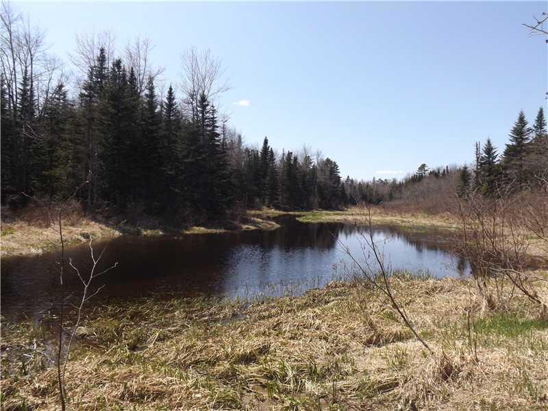 0 Partridge Road Searsport, ME 04974 - Photo 3 of 9 Land/Lot.
