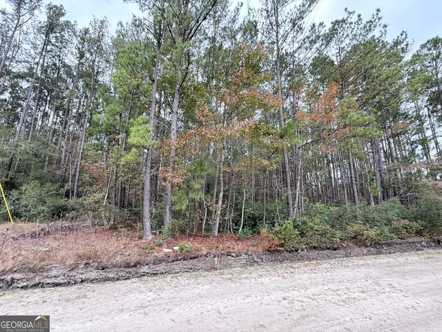 a view of a forest filled with trees