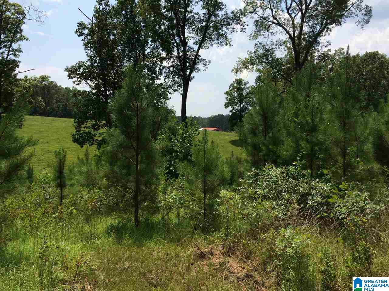 Spunky Hollow Road, Unit 18 7 Oneonta, AL 35121 - Photo 17 of 46