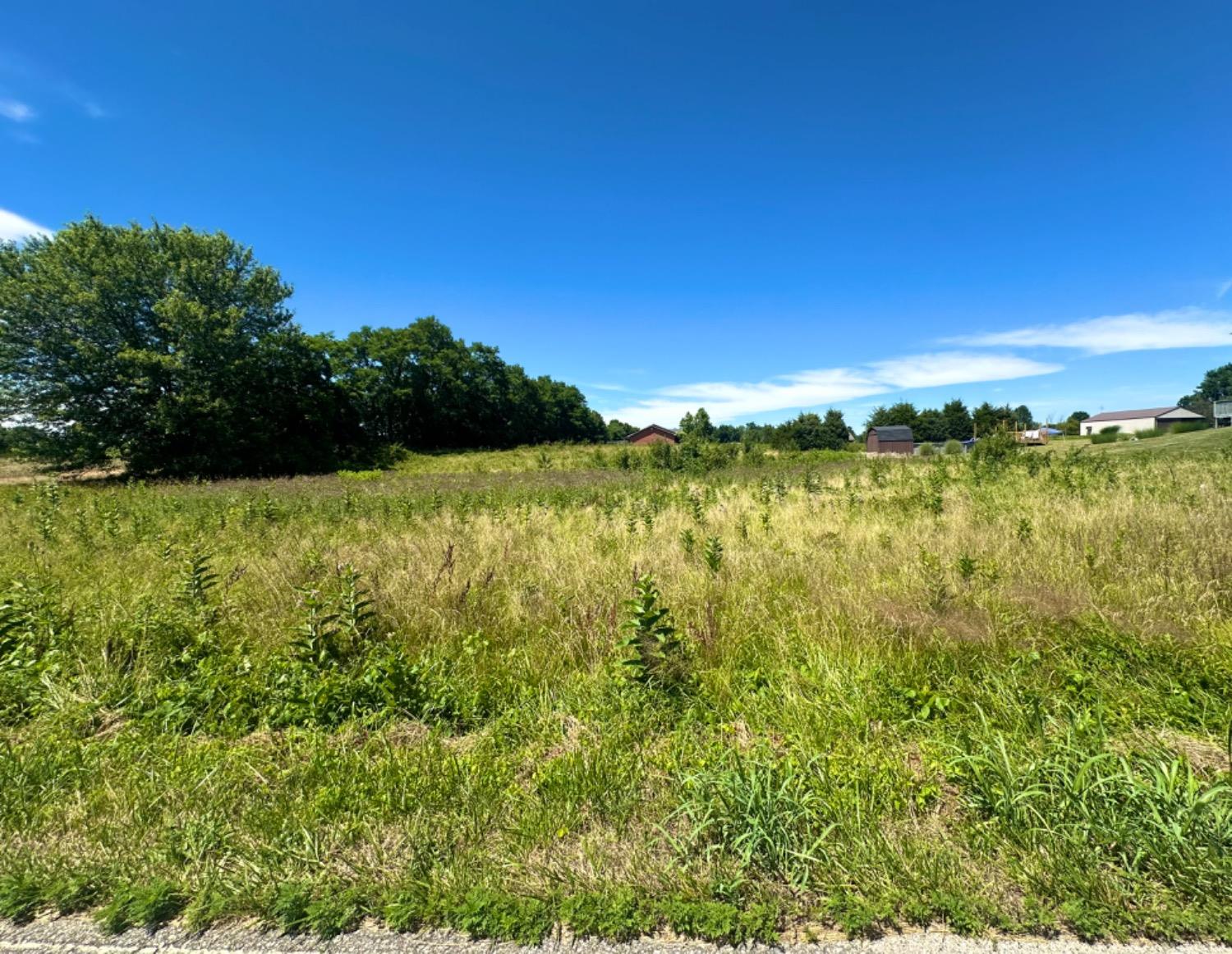 0 Spangler Road Dillsboro, IN 47018 - Photo 1 of 4