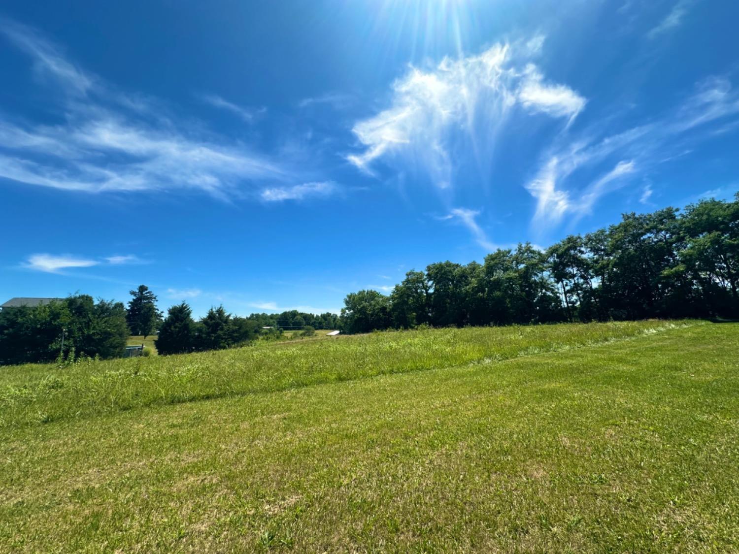 0 Spangler Road Dillsboro, IN 47018 - Photo 3 of 4