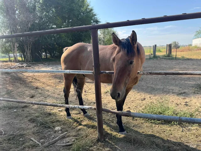 $499,900 | 794 Park Avenue, Twin Falls, ID 83301